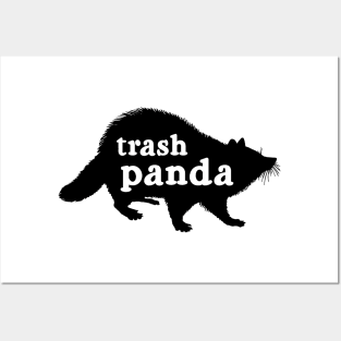 Trash Panda Posters and Art